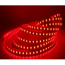 RGB 220V LED Strip 5050 Waterproof Outdoor Garden Neon Decoration String light